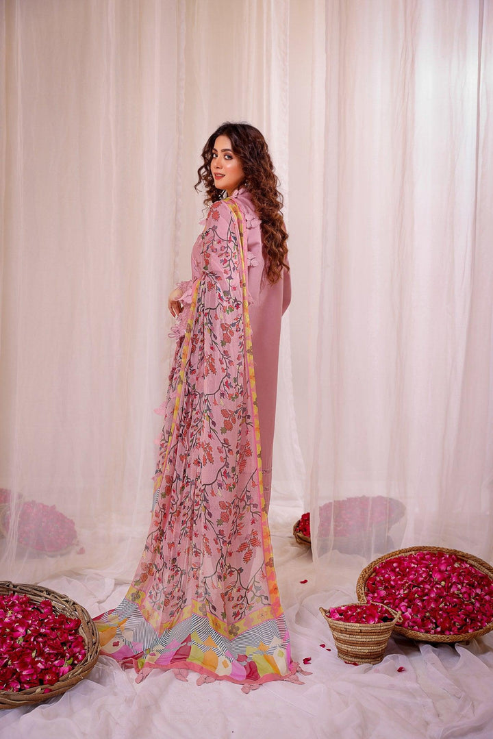 RSC-02 - SAFWA ROSELLA 3-PIECE COLLECTION VOL  Embroidered Dress | 1 Shop Online | Pakistani Dresses | Dresses