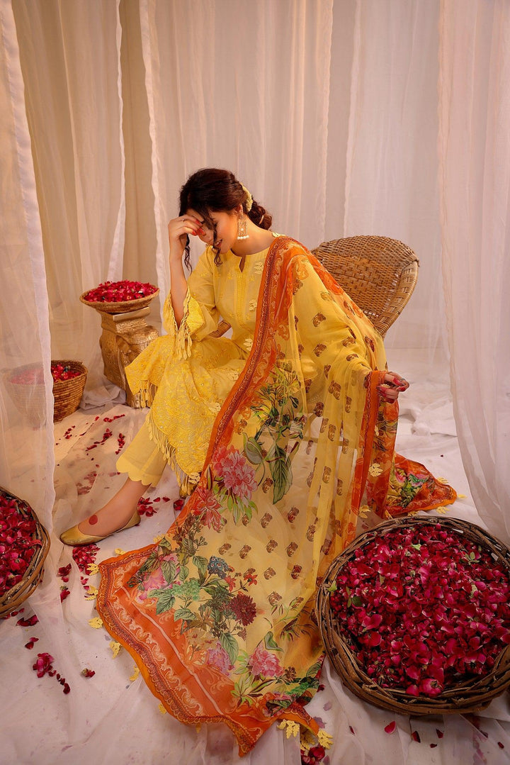 RSC-09 - SAFWA ROSELLA 3-PIECE COLLECTION VOL  Embroidered Dress | 1 Shop Online | Pakistani Dresses | Dresses