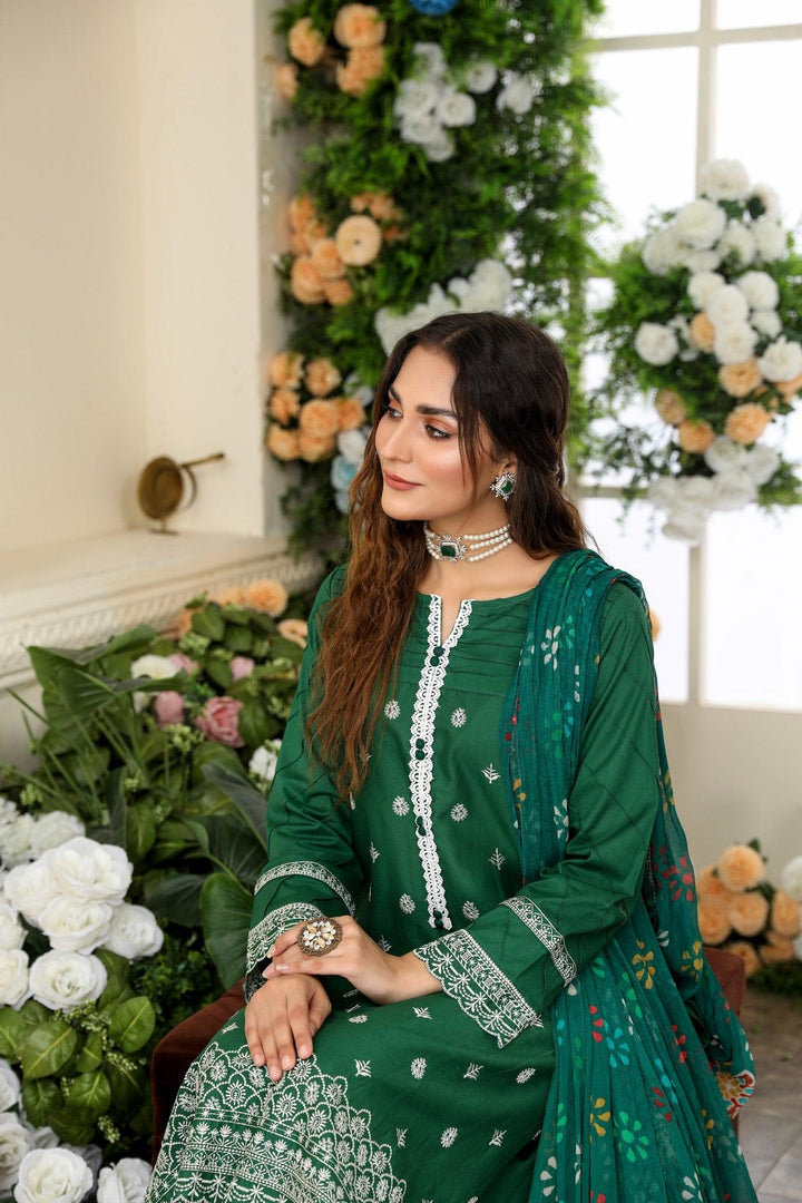 SEC-17 - SAFWA ETSY 3-PIECE EMBROIDERED COLLECTION VOL 02 - SAFWA Brand