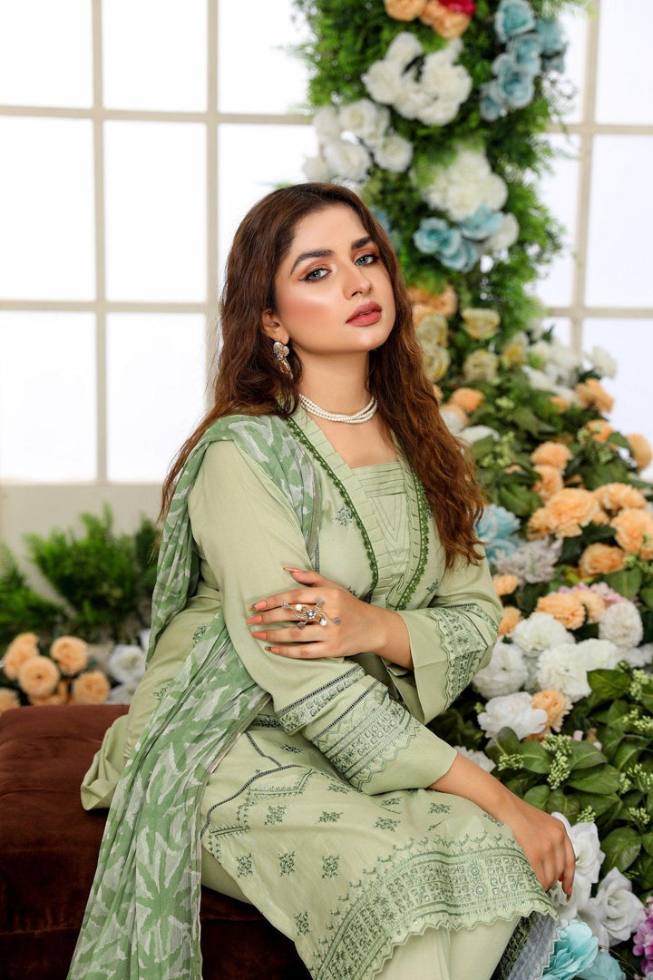 SEC-18 - SAFWA ETSY 3-PIECE EMBROIDERED COLLECTION VOL 02 - SAFWA Brand