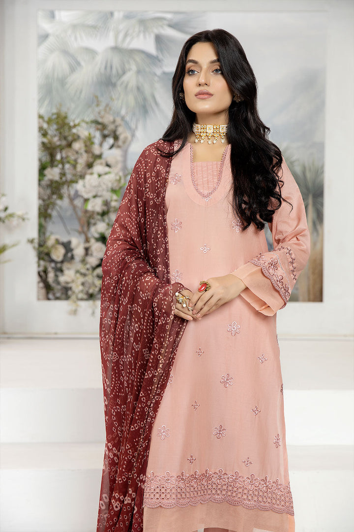 SEC-54 - SAFWA ETSY 3-PIECE EMBROIDERED COLLECTION VOL 04