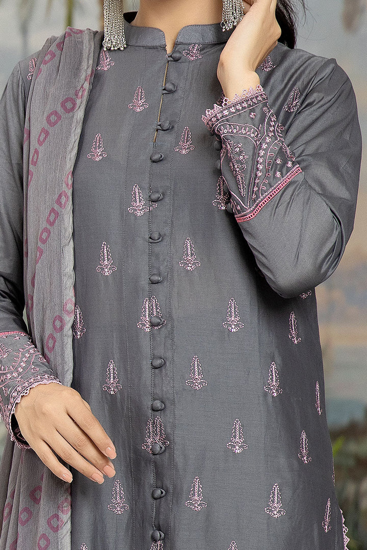 SEC-59 - SAFWA ETSY 3-PIECE EMBROIDERED COLLECTION VOL 04